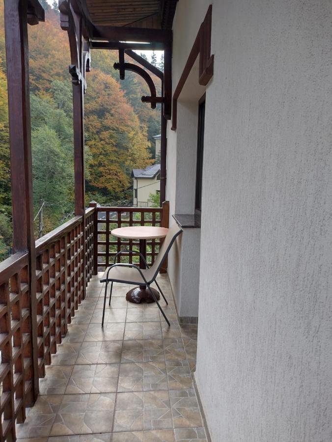 Pensiunea Steinhaus Slănic-Moldova Extérieur photo