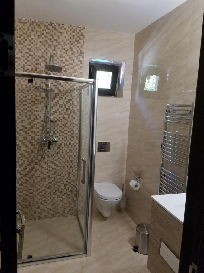 Pensiunea Steinhaus Slănic-Moldova Extérieur photo